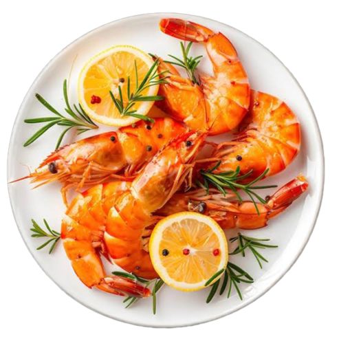 WhatsApp Image 2024-11-23 at 22.52.26_1e6d9bae3