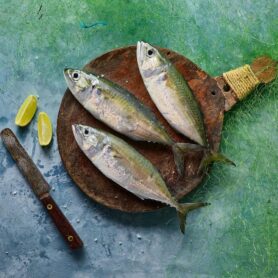 WhatsApp Image 2024-11-23 at 23.38.44-4