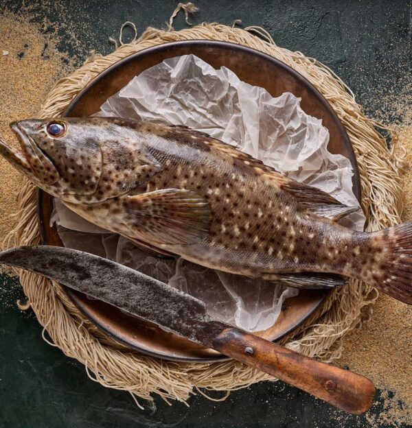 WhatsApp Image 2024-11-23 at 23.38.46