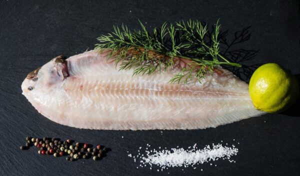 WhatsApp Image 2024-11-23 at 23.38.47-2