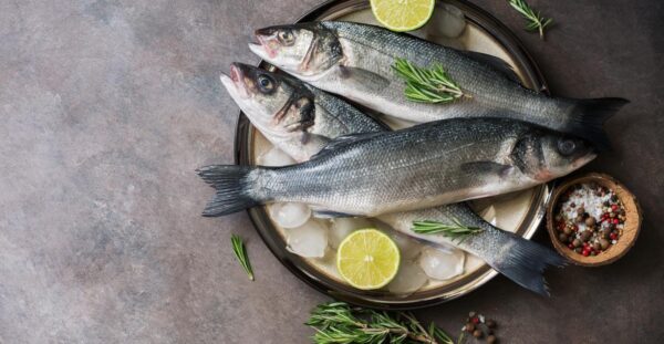 WhatsApp Image 2024-11-23 at 23.38.47-3