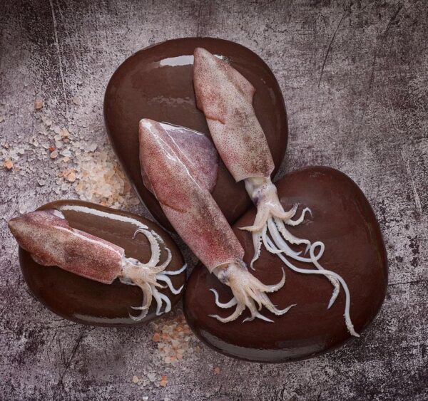 WhatsApp Image 2024-11-23 at 23.38.47