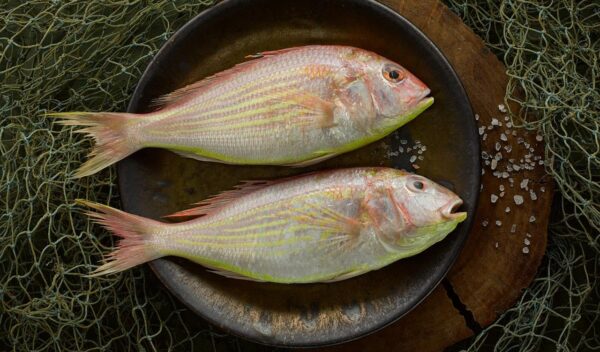 WhatsApp Image 2024-11-23 at 23.38.48-2