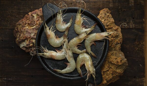 WhatsApp Image 2024-11-23 at 23.38.49